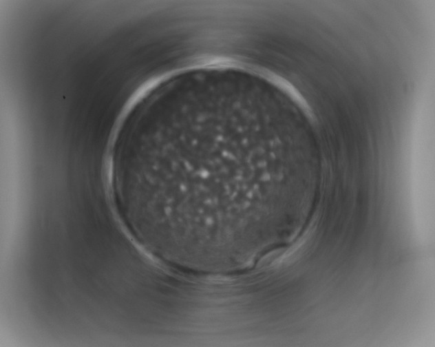 X0000114191424200910091223