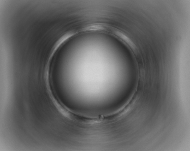 X0000114191426200910091223