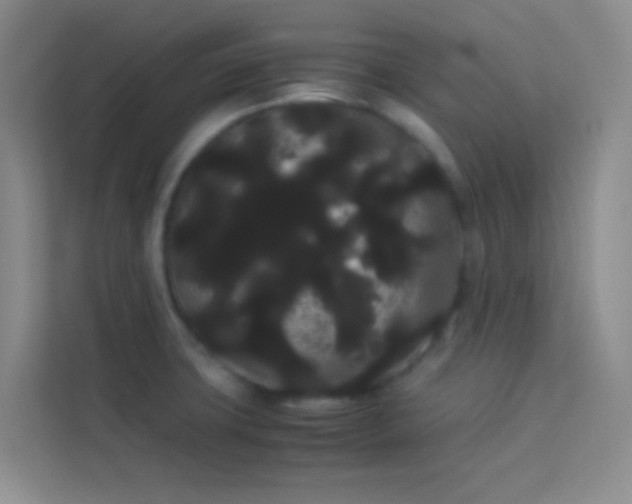 X0000114191427200910091223