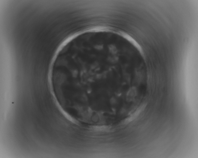 X0000114191429200910091223
