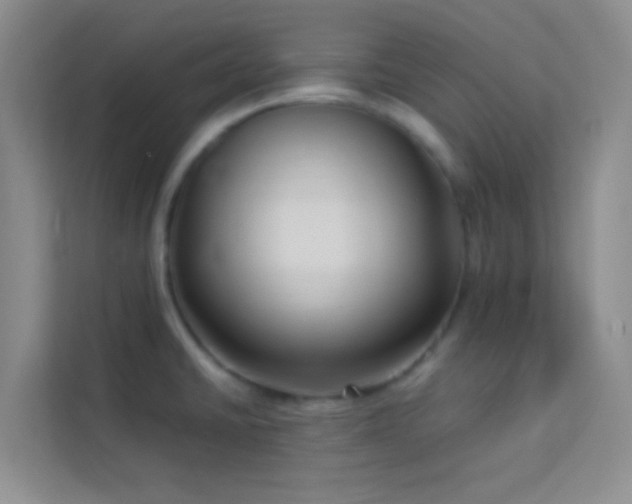 X0000114191430200910091223