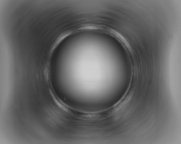 X0000114191433200910091223