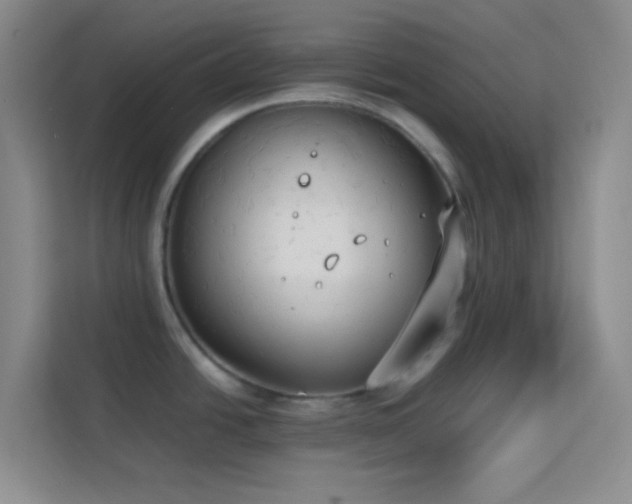 X0000114191438200910091223