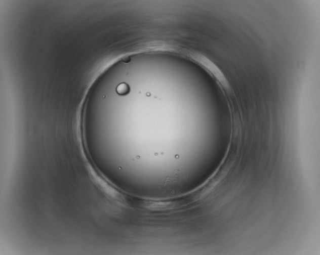 X0000114191439200910091223