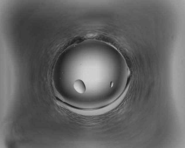 X0000114191441200910091222