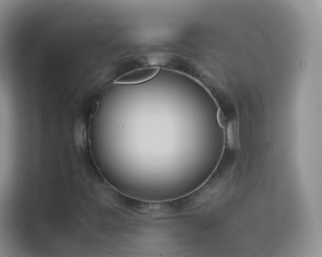 X0000114191443200910091222