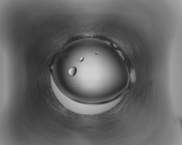 X0000114191444200910091222