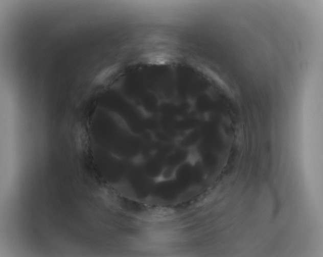 X0000114191446200910091222