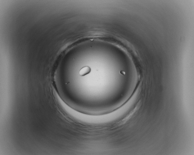 X0000114191449200910091222