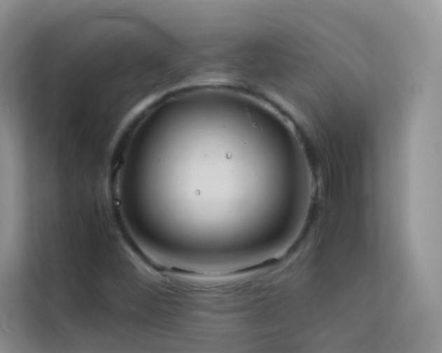 X0000114191452200910091222