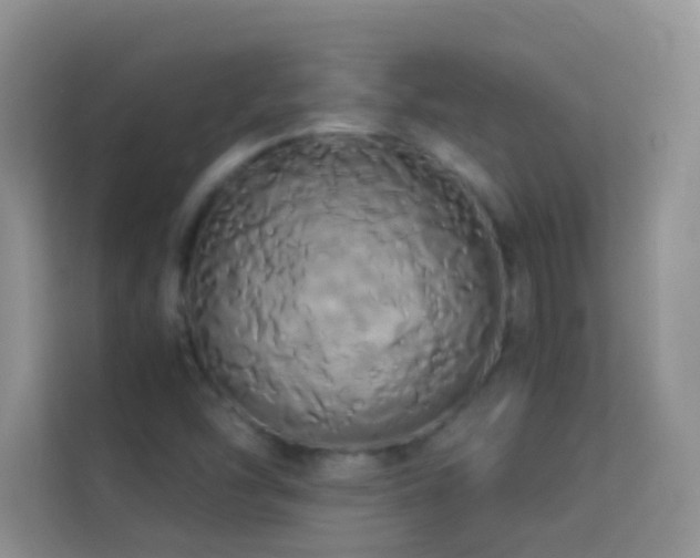 X0000114191454200910091222