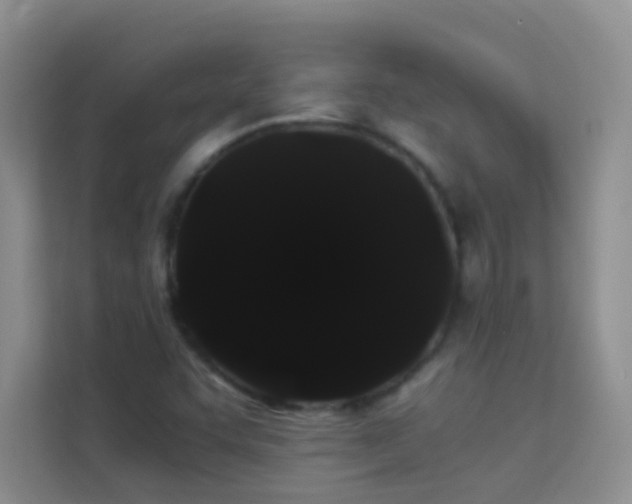 X0000114191455200910091222