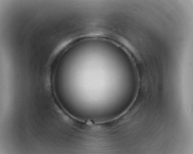 X0000114191456200910091222