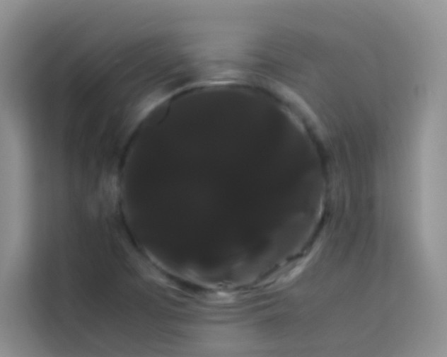 X0000114191457200910091222