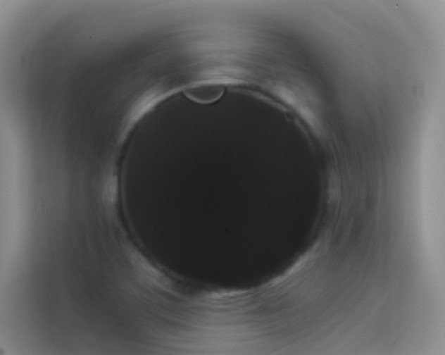 X0000114191459200910091222