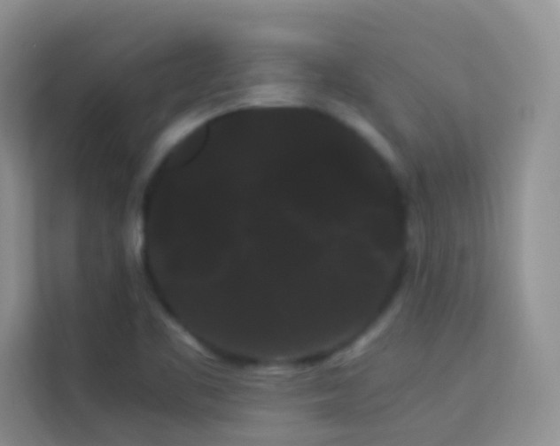 X0000114191461200910091222
