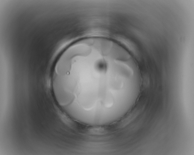 X0000114191462200910091222