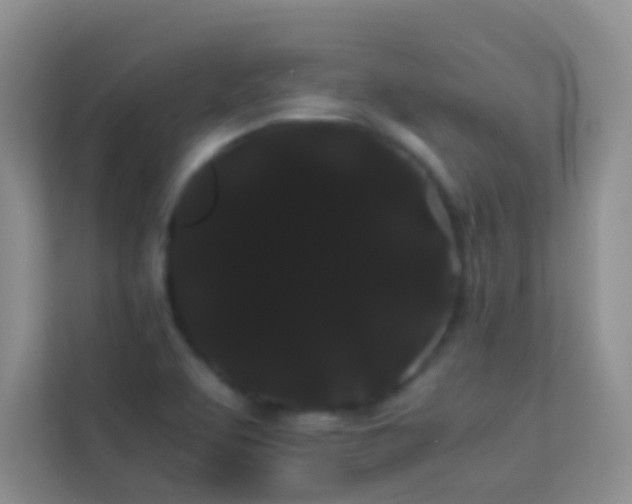 X0000114191463200910091222