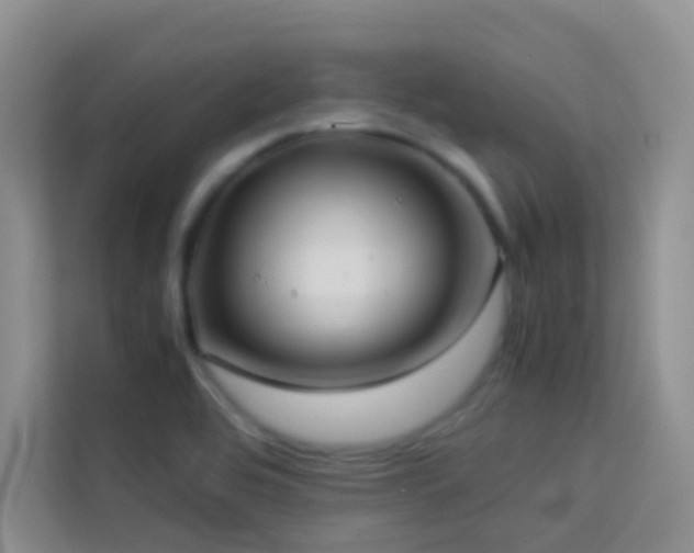 X0000114191464200910091222