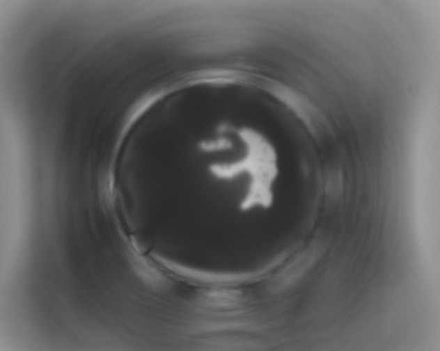 X0000114191466200910091222
