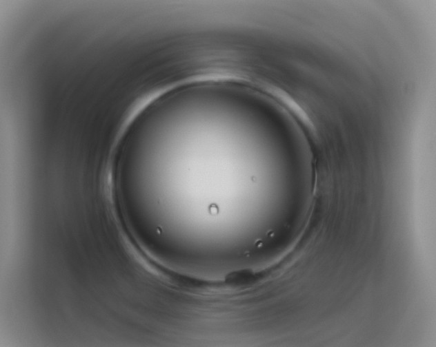 X0000114191468200910091222
