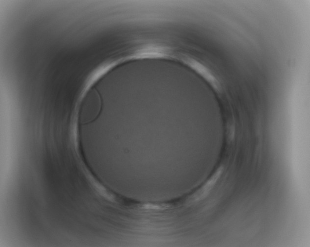 X0000114191469200910091222