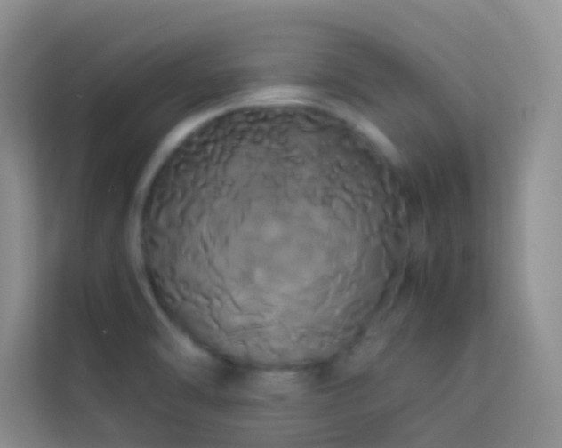 X0000114191470200910091222