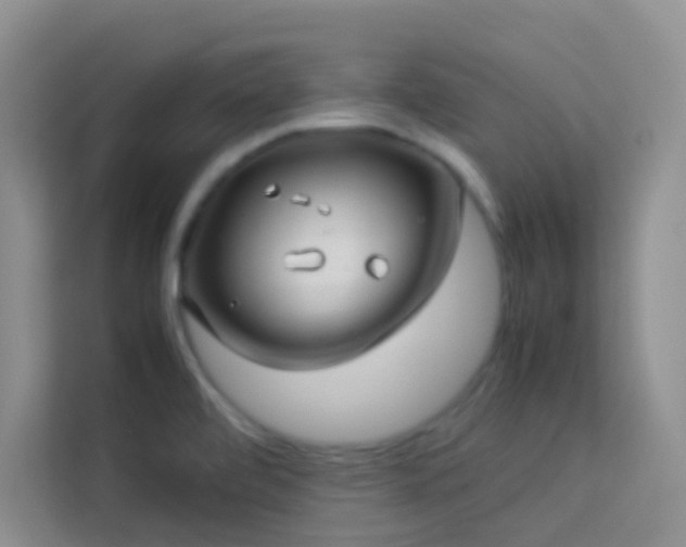 X0000114191472200910091222