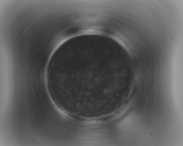 X0000114191474200910091222