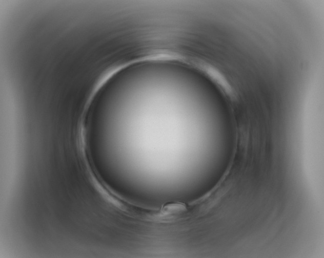 X0000114191476200910091222