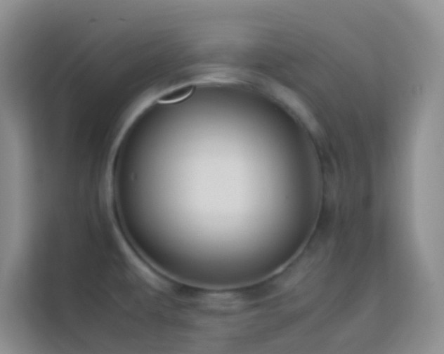 X0000114191479200910091222