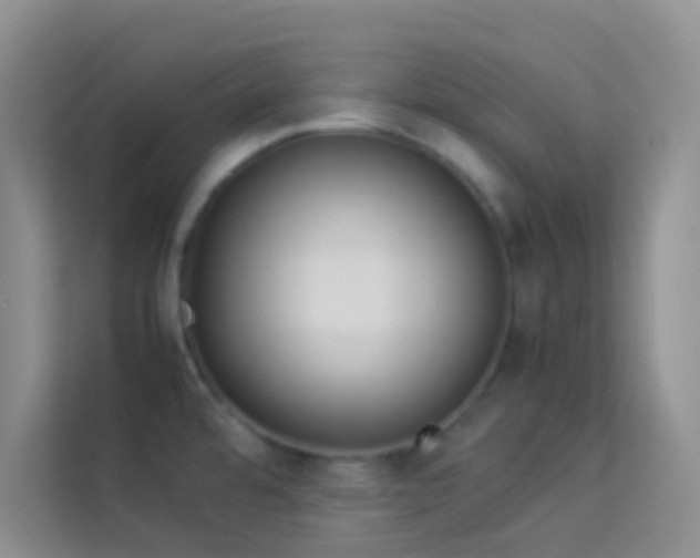 X0000114191480200910091222