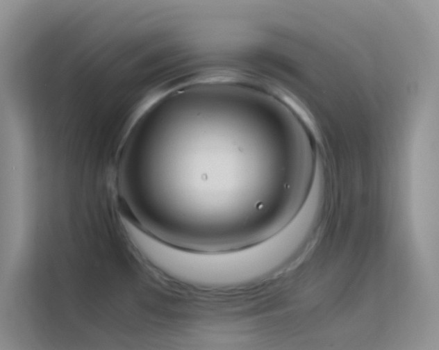 X0000114191481200910091222