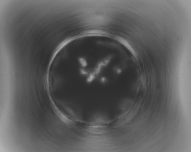 X0000114191482200910091222