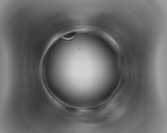 X0000114191483200910091222