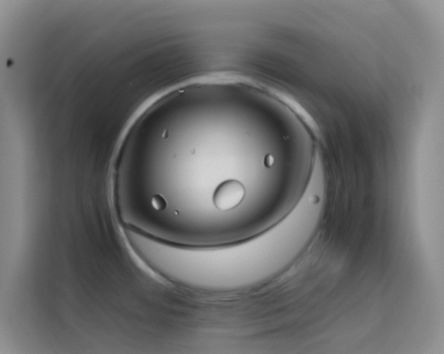 X0000114191484200910091222