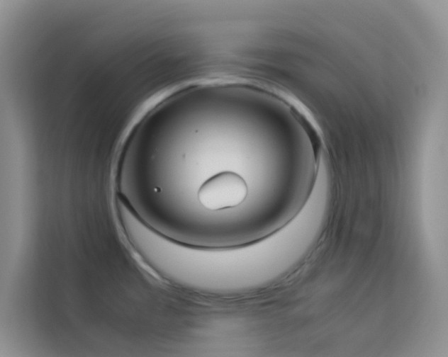 X0000114191485200910091222