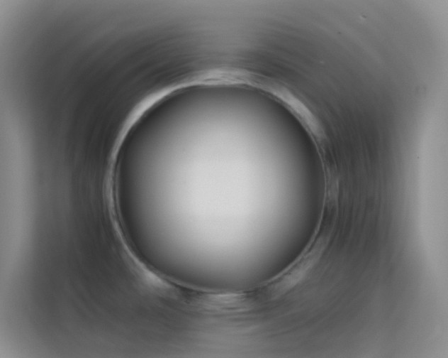 X0000114191486200910091222