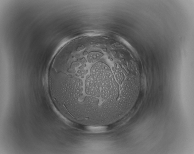 X0000114191487200910091222