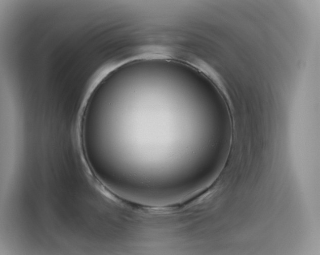 X0000114191488200910091222