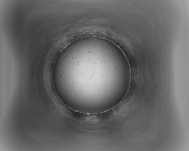 X0000114191489200910091221