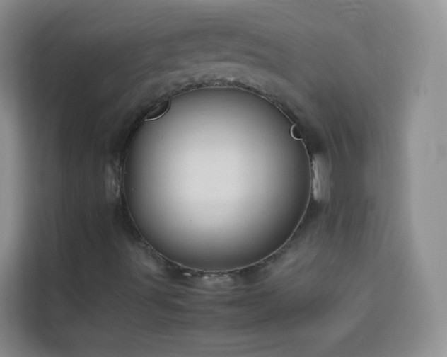 X0000114191491200910091221