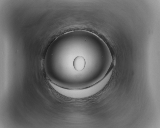 X0000114191492200910091221