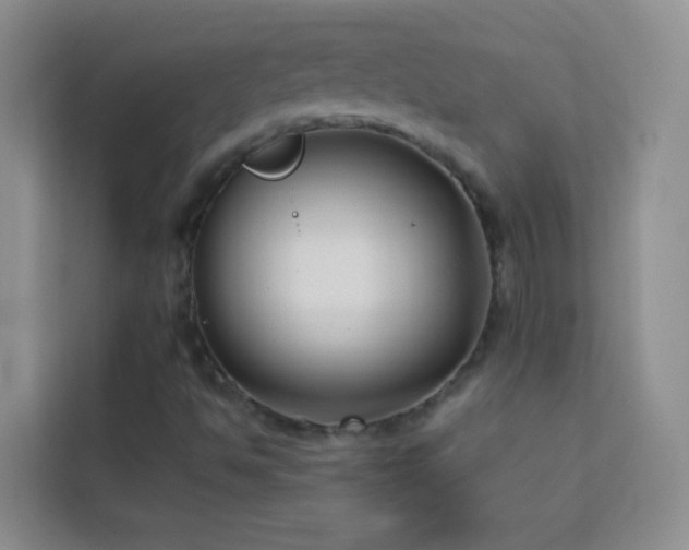 X0000114191494200910091221
