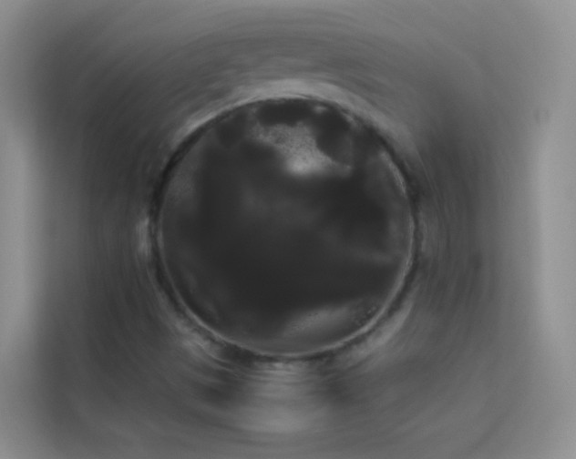 X0000114191497200910091221