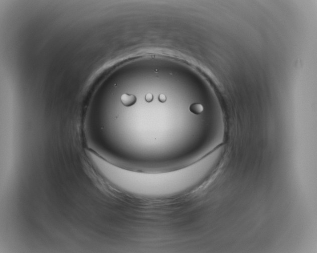X0000114191499200910091221
