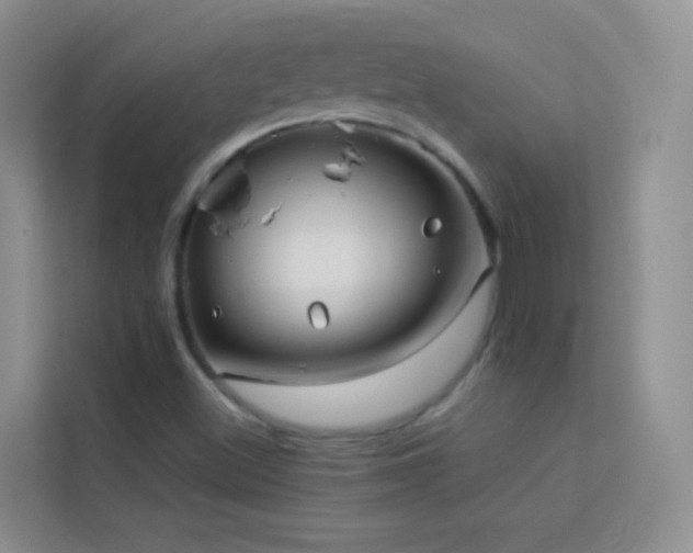 X0000114191500200910091221