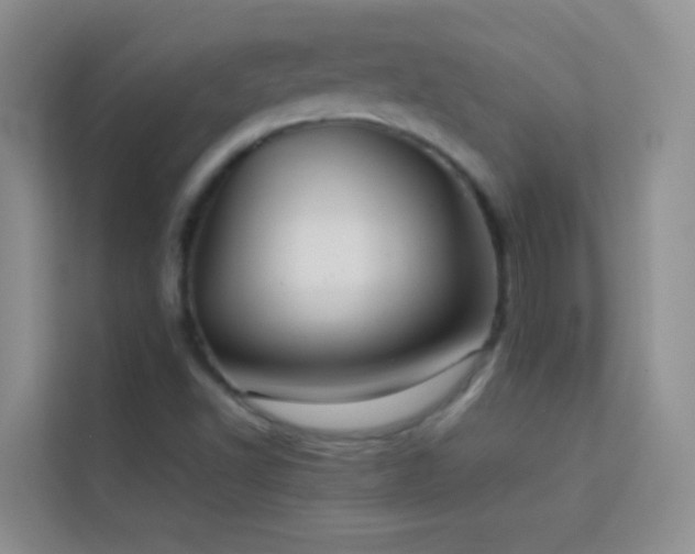 X0000114191502200910091221