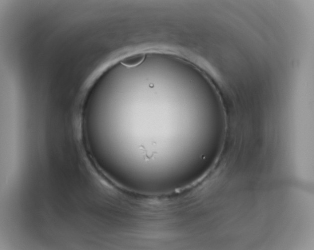 X0000114191504200910091221