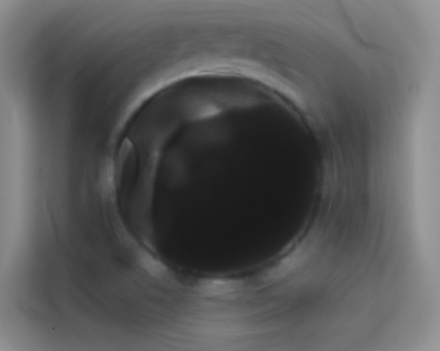 X0000114191506200910091221